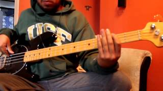 Una Aguja EN Un Pajar Bass COver Chancho En Piedra