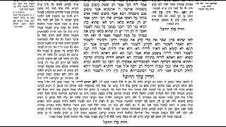 דף יומי בבא קמא דף צג