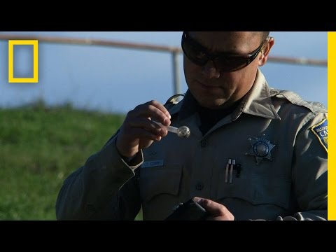 Kung paano mawalan ng timbang para sa 3 araw sa 12 taon Hindi isang malusog na pagbaba ng timbang