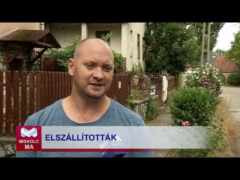 Videó előnézet