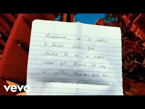 iLe, Ivy Queen - ALGO BONITO (Visualizer)