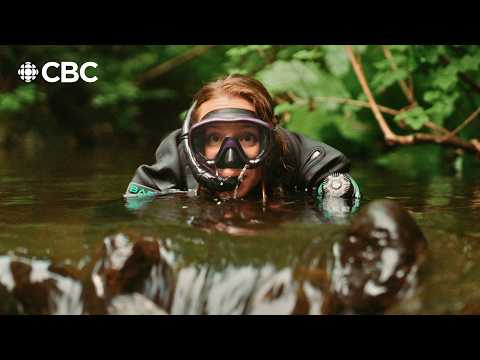 The Nature of Things and CBC British Columbia