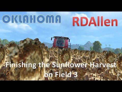 Farming Simulator 15 Oklahoma - High Speed Finishing the Sunflower Harvest on Field 3