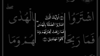 Download lagu Al Baqarah Ayat 16 mp3