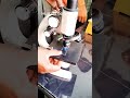 Human Cells Science Trending Viral Learning Youtubeshort Facts Shortvideo Biology Learn