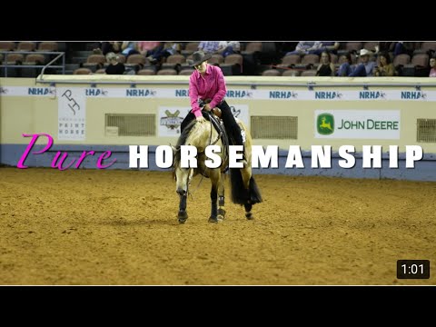 Abby Lengel Performance Horses