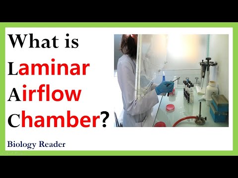 What is Laminar Airflow Chamber? Definition, Principle, Video, Parts & Uses - Biology Reader