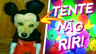 VOCÊ VAI CHORAR DE RIR 🤣😂 – Os MEMES mais INSANOS de 2025! (Desafio TENTE NÃO RIR 💀)