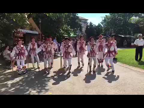 spectacol folcloric Delfinariu9268