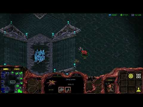 1 Lurker vs 1 Zealot