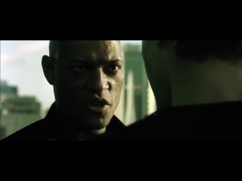 TAROT:  FILME MATRIX EXPLICA FUNÇÃO DE UM ORÁCULO (Adriano Rizk)