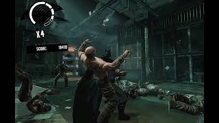 Batman Arkham Asylum Totally Insane Record Breaker Dying is Easy Skin Batman