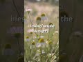 Good Morning Quotes In English Beautiful WhatsApp Status YouTube Shorts Shorts Goodmorning