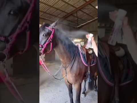Spray Brume 360° - Youtube video