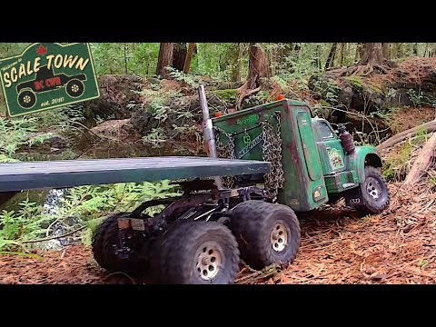 Swamp Truckin with Scale Town - RC CWR