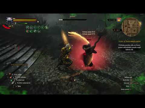 The Witcher 3 Hearts of Stone: The Caretaker vs Alchemy build