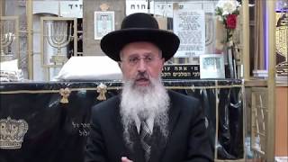 הרב אברהם יוסף - הלכות ודיני חג הסוכות