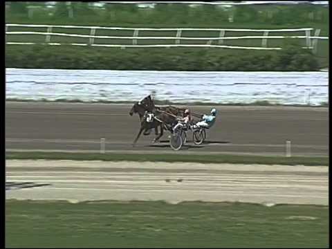 Trotto 02/05/2015 - prova di qualifica