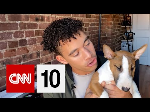 Surge In Pet Adoptions in 2020?