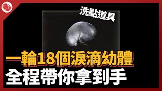 [法環] 一輪可以洗點18次，影片指引攻略