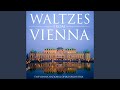 The Skater's Waltz