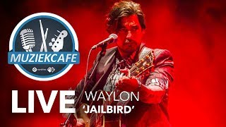 Waylon - &#39;Jailbird&#39; live bij Muziekcafé
