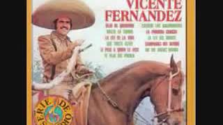 Hasta la tumba vicente fernández