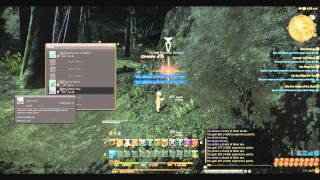 Where to farm Silver Ore, Effervescent Water - Final Fantasy 14: A Realm Reborn
