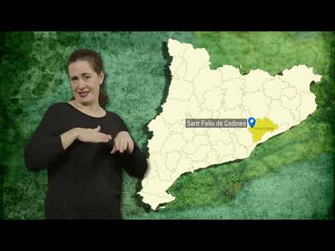 Sant Feliu de Codines