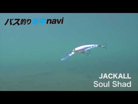 Natural shad