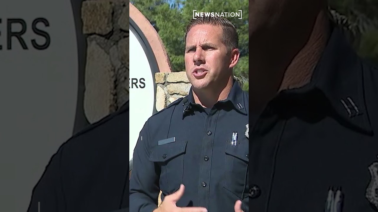 New AI tool tries to spot wildfires before they're out of control