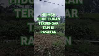 Download lagu ya Allah ajari aku melihat kebenaran yang tersembunyi #catatanmotivasi #motivasihidup #shorts mp3