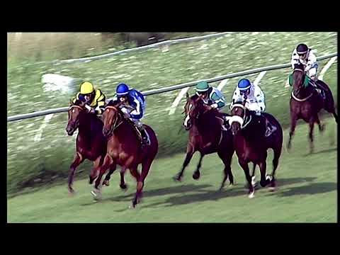 Napoli Galoppo 24/07/2021 - 2ª corsa