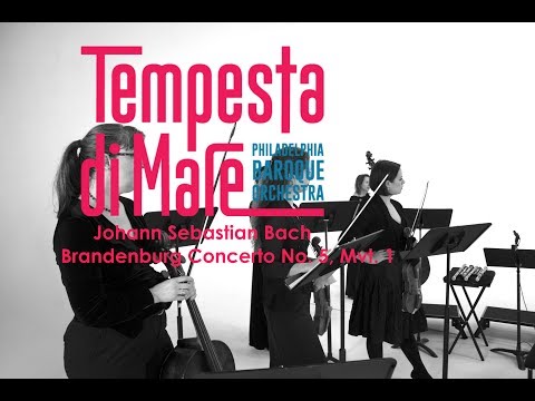 Johann Sebastian Bach - Brandenburg Concerto No. 5 Mvt 1; Tempesta di Mare