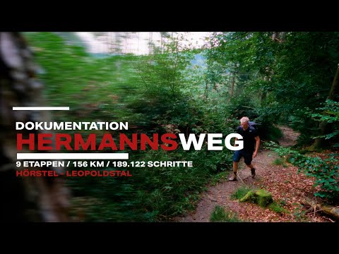 Herausforderung Hermannsweg: 9 Etappen, 156 km, 189.211 Schritte – Tipps & Highlights der Tour!