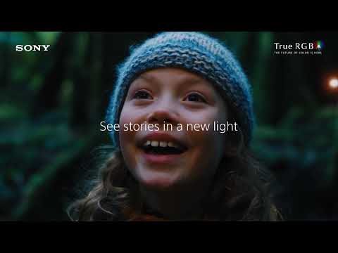Sony Electronics Inc.