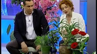 ექიმები - ოთახის მცენარეები, ალერგია თუ გაციება, ფაღარათი, ლაზერული ეპილაცია,