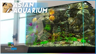 Asian Garden Aquarium Behind Glass is pure relaxation! Aquarium Simulator