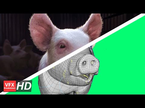 'Somewhere' Animals Australia Making of by VANDAL SYDNEY