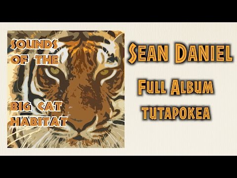 Afro-Acoustic Jungle Album - Sean Daniel