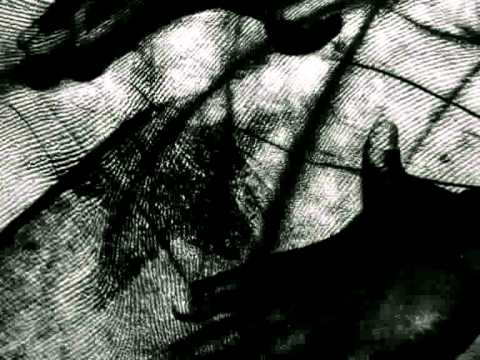 Como los peces - Carlos Varela.