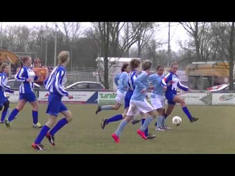 Samenvatting Hermes DVS MA1 - RVVH MA1