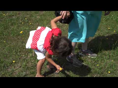 Uncle Tries To Trick Niece Into Saying She Likes Cowchips