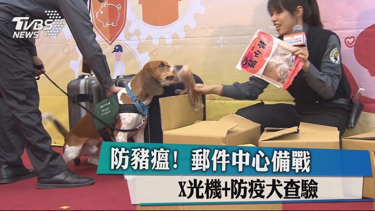 防豬瘟! 郵件中心備戰X光機加防疫犬查驗