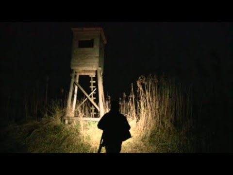 I Met Hunters - Episode 118 Boar from the Reed Bed