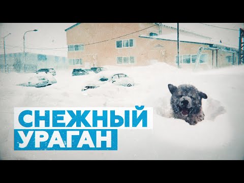 «Снега — по самый козырёк дома»: видео с Сахалина, где бушует циклон