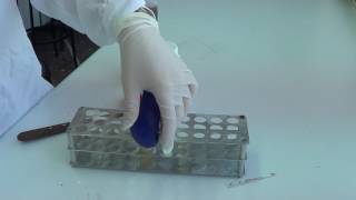 Download lagu THE ACIDIC SOLUTION EFFECT IN CARBONATES mp3