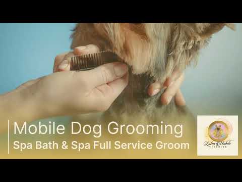 Mobile Dog Grooming Katy