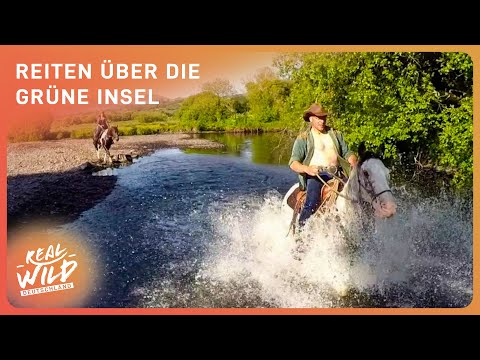 Unvergessliche Momente auf dem Wild Atlantic Way: Abenteuer mit Pferd und Kamera