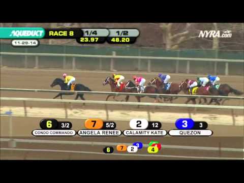 Condo Commando - The Demoiselle Stakes